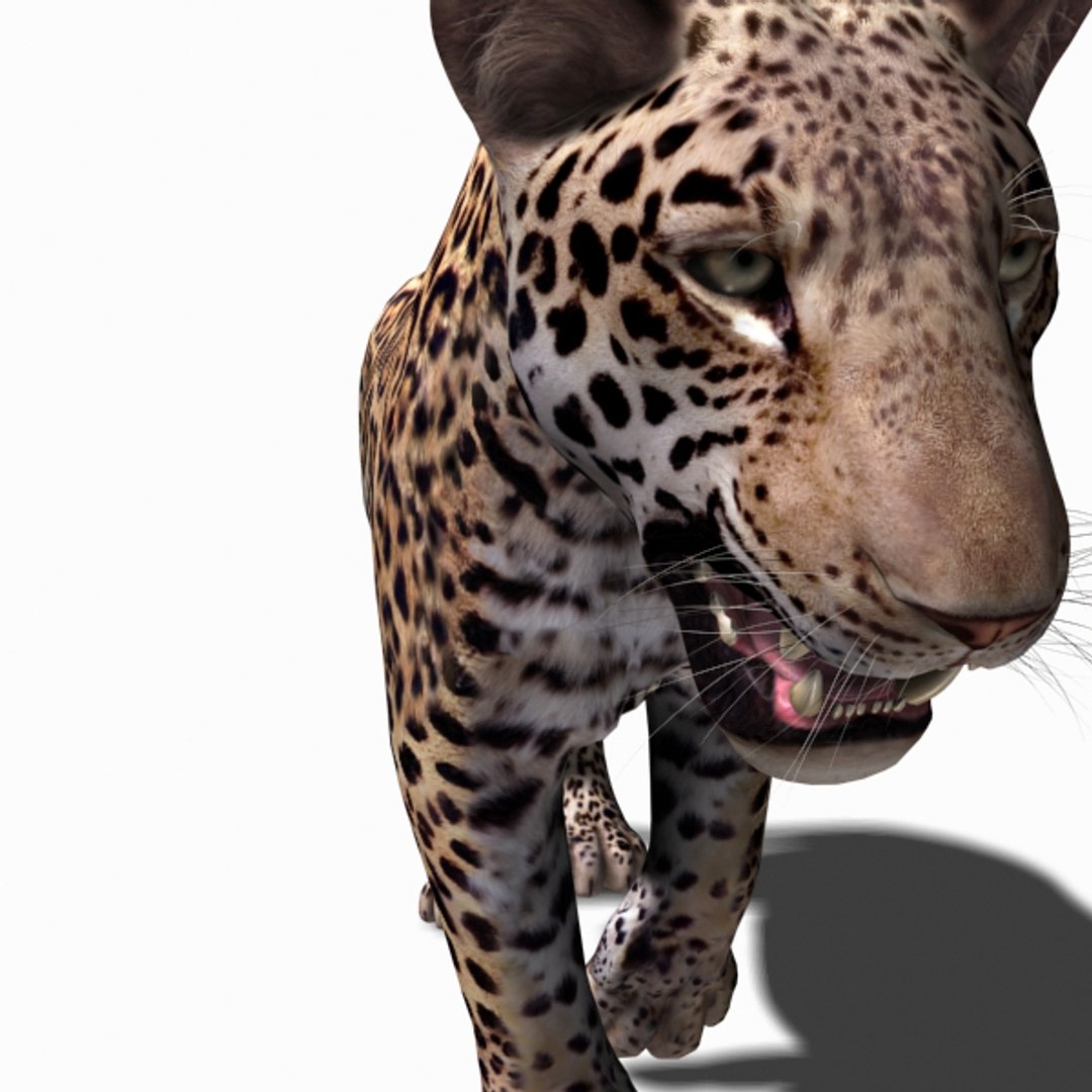 realistic jagua 3d model https://p.turbosquid.com/ts-thumb/ru/lbdZ0a/eiWvzwAB/7water/jpg/1367366461/1920x1080/fit_q87/41f87ee37269354ea6d7e3a0d932f6e179fed3bb/7water.jpg