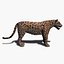 Jaguar réaliste (sans fourrure)