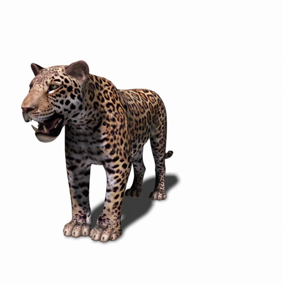 realistic jagua 3d model https://p.turbosquid.com/ts-thumb/ru/lbdZ0a/tO9mBAp0/12/jpg/1367366461/1920x1080/fit_q87/d30dc99c3544e1ce4c610e2cc8bf8623f05e62e2/12.jpg