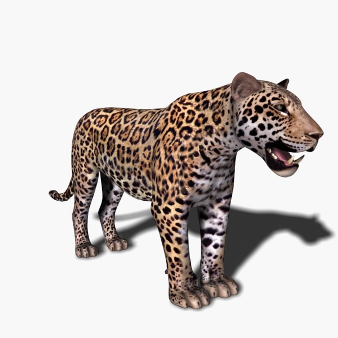 realistic jagua 3d model https://p.turbosquid.com/ts-thumb/ru/lbdZ0a/y3qAPmqA/11/jpg/1367366461/1920x1080/fit_q87/499027b5eff0a030a0e2c942c7d3a871805a868c/11.jpg