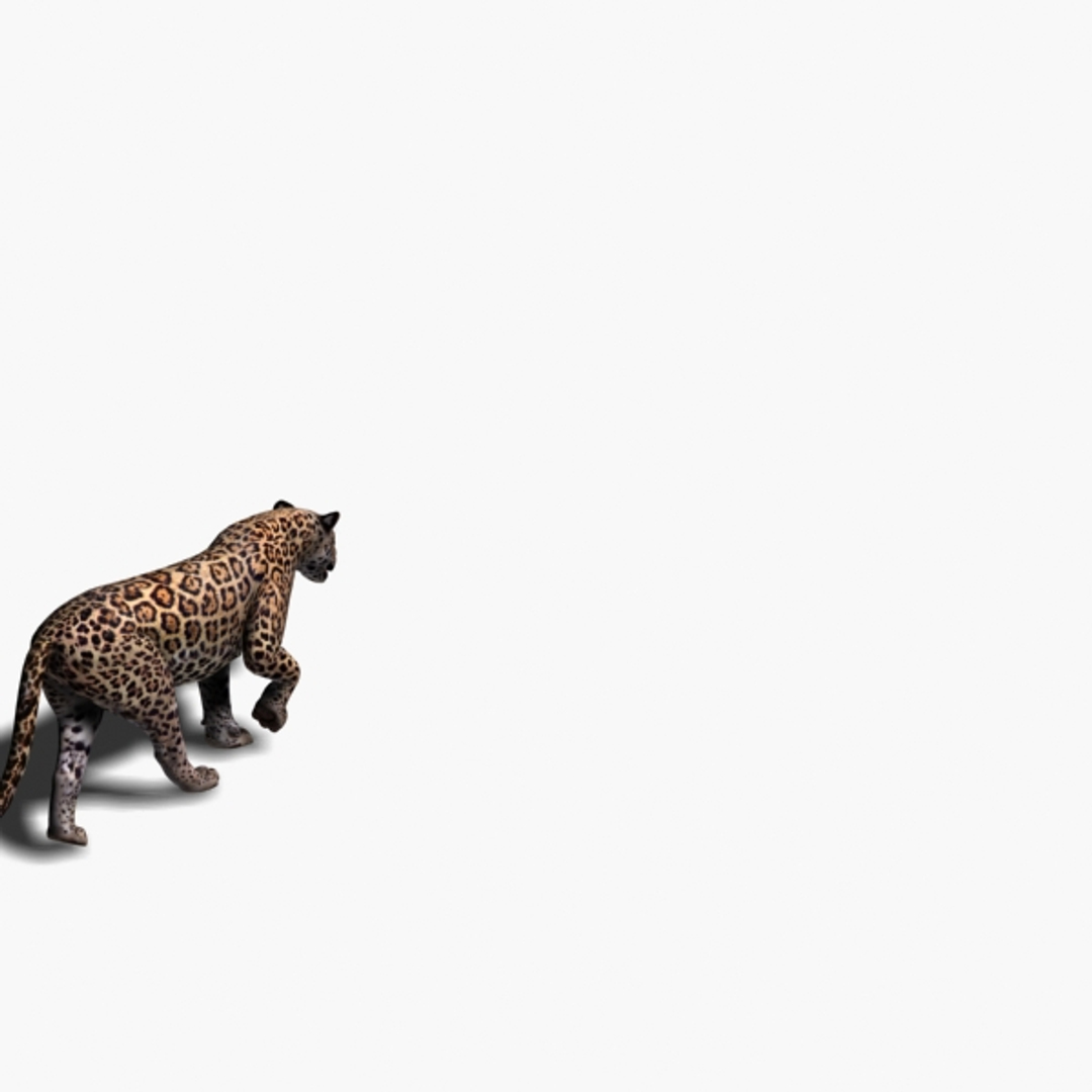 realistic jagua 3d model https://p.turbosquid.com/ts-thumb/ru/lbdZ0a/yrSc63qj/image/jpg/1367365994/1920x1080/turn_fit_q99/c412f88f9f543ee936a283667f33d2672b04b377/image-1.jpg