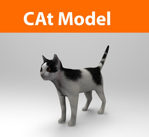 3d cats feline