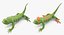 Rigged Lizards Collection 3 for Maya