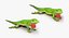 Rigged Lizards Collection 3 for Maya