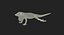 Rigged Lizards Collection 3 for Maya