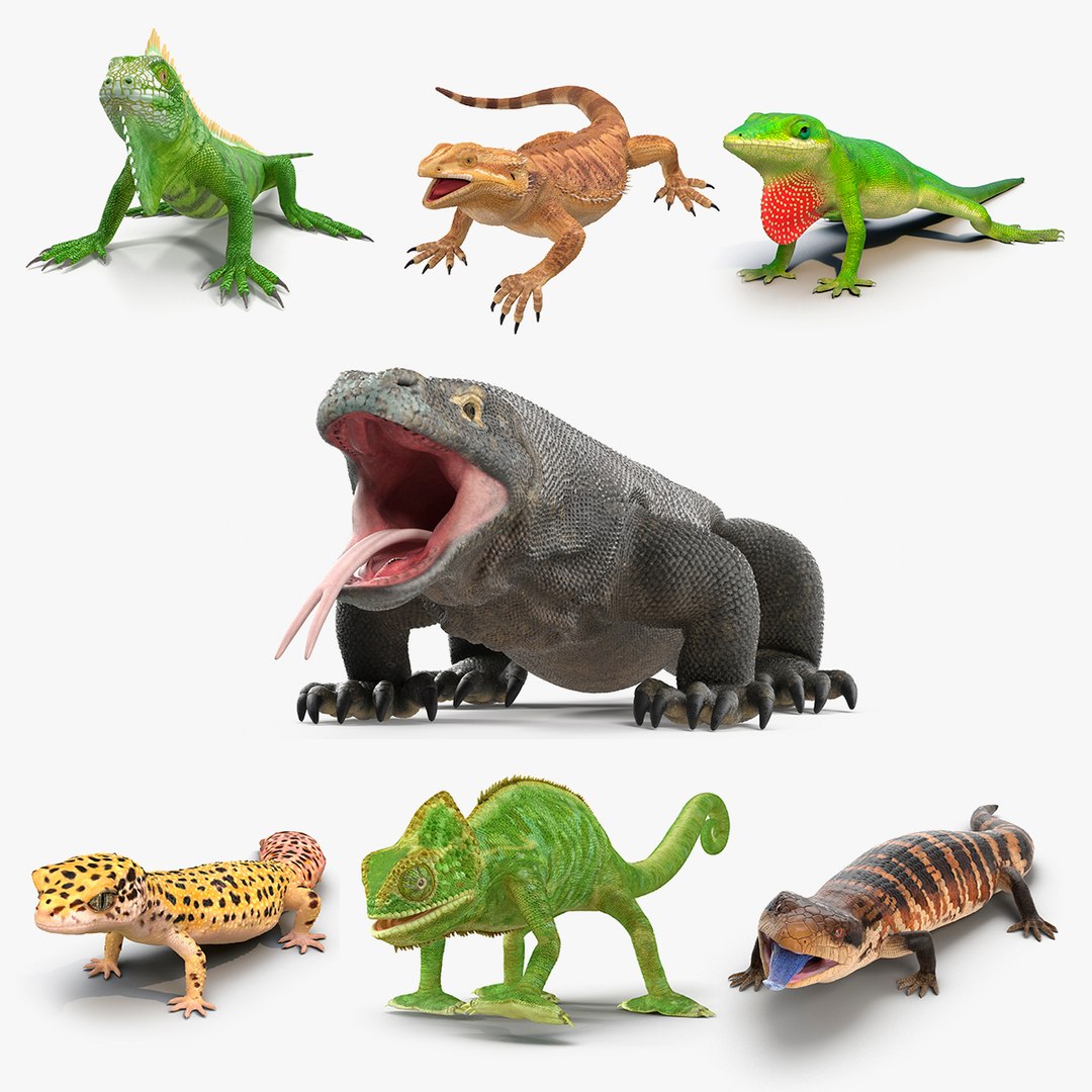 Rigged Lizards Collection 3 for Maya 3D model preview