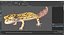 Rigged Lizards Collection 3 for Maya