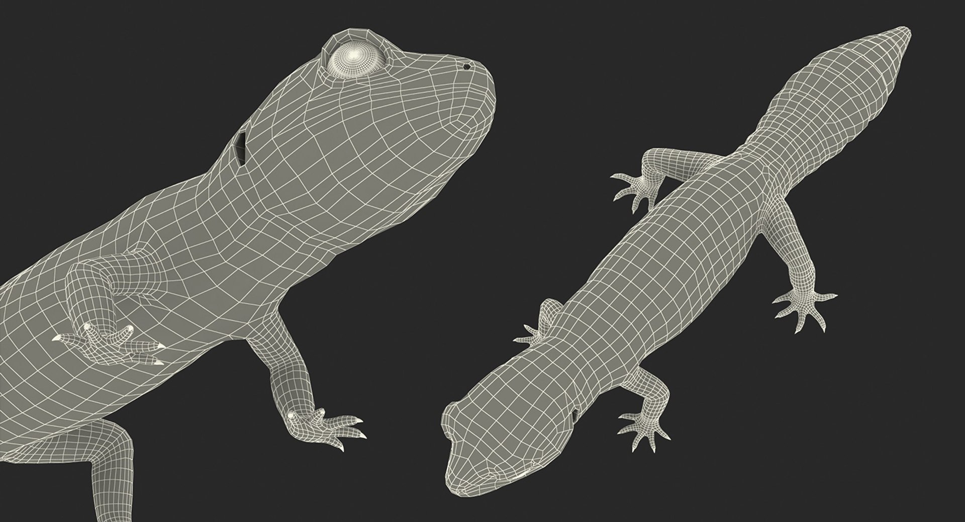 3D model Rigged Lizards Collection 3 for Maya https://p.turbosquid.com/ts-thumb/ru/vzfJEL/QO/rigged_lizards_collection_3_044/jpg/1723278361/1920x1080/fit_q87/3da211162e06eaa669ffb87b3b5b8e0ed4ec5fad/rigged_lizards_collection_3_044.jpg