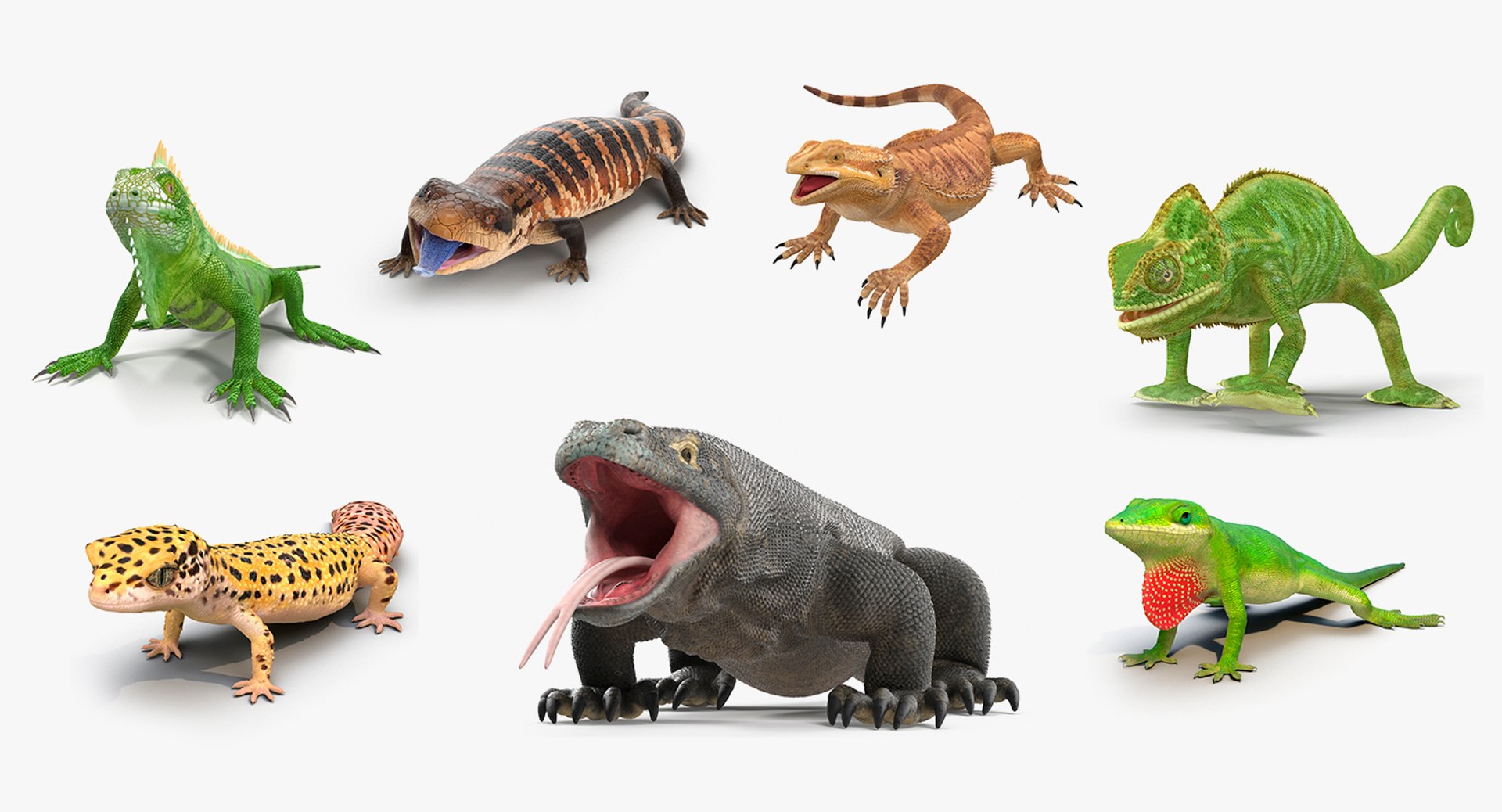 3D model Rigged Lizards Collection 3 for Maya https://p.turbosquid.com/ts-thumb/ru/vzfJEL/X5/riggedlizardscollection33dsmodel001/jpg/1665647183/1920x1080/fit_q87/c12306054fd0dec6134a9a6325db85e5f854a10c/riggedlizardscollection33dsmodel001.jpg