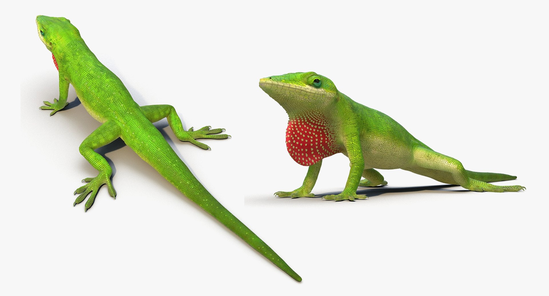 3D model Rigged Lizards Collection 3 for Maya https://p.turbosquid.com/ts-thumb/ru/vzfJEL/YK/rigged_lizards_collection_3_027/jpg/1723278328/1920x1080/fit_q87/f26452374746b764149f6e2bf71cb130da7a2e6f/rigged_lizards_collection_3_027.jpg