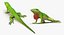 Rigged Lizards Collection 3 for Maya