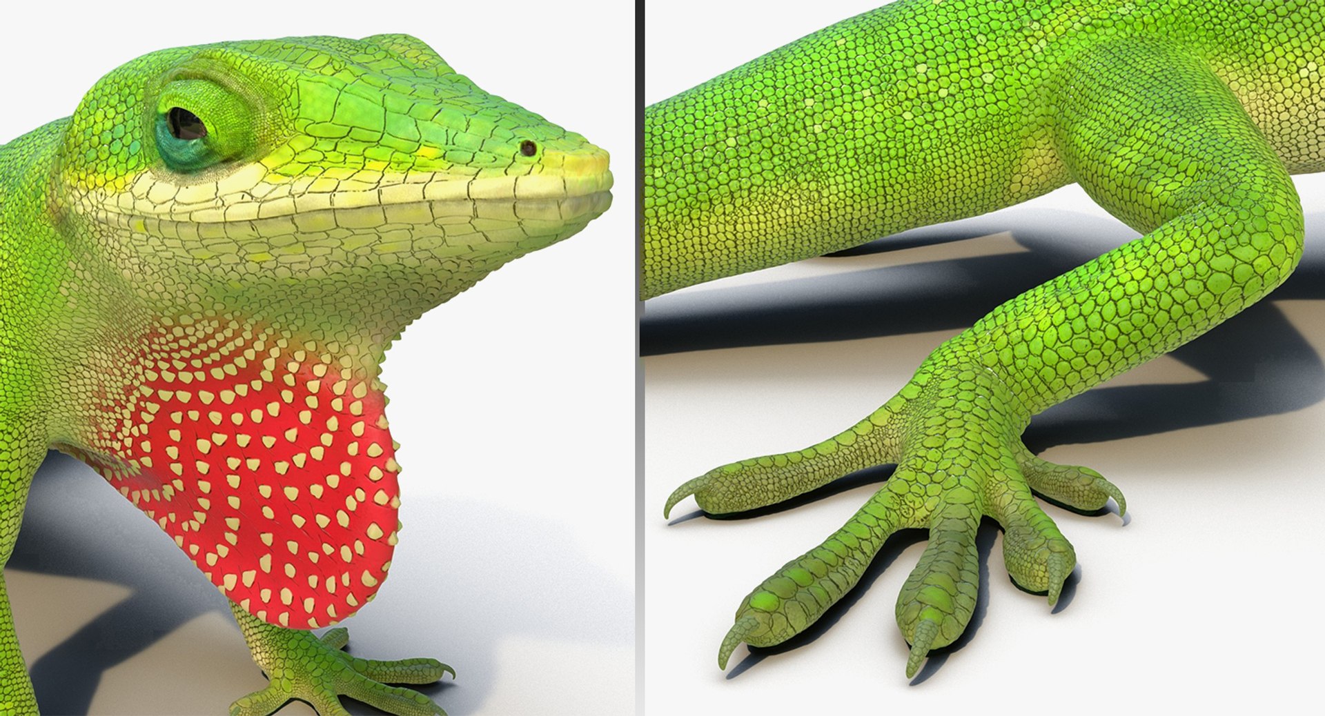 3D model Rigged Lizards Collection 3 for Maya https://p.turbosquid.com/ts-thumb/ru/vzfJEL/Za/rigged_lizards_collection_3_028/jpg/1723278335/1920x1080/fit_q87/fe11a5132853b5ed75a7506539b78878814af81d/rigged_lizards_collection_3_028.jpg