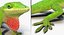Rigged Lizards Collection 3 for Maya