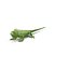 Rigged Lizards Collection 3 for Maya