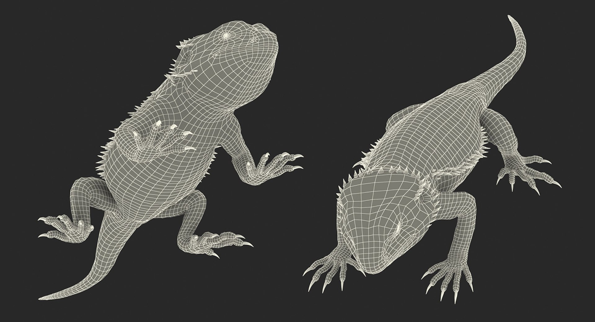 3D model Rigged Lizards Collection 3 for Maya https://p.turbosquid.com/ts-thumb/ru/vzfJEL/jK/rigged_lizards_collection_3_039/jpg/1723278352/1920x1080/fit_q87/8f0f2fb503034fde1aa7db25f1391cd262525179/rigged_lizards_collection_3_039.jpg