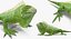 Rigged Lizards Collection 3 for Maya