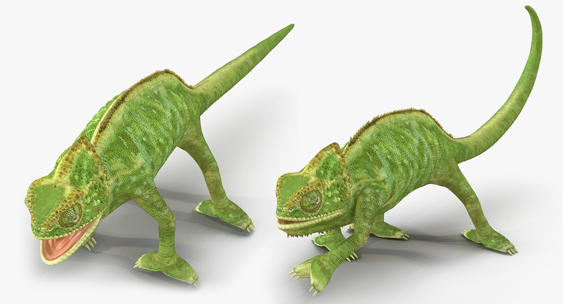 3D model Rigged Lizards Collection 3 for Maya https://p.turbosquid.com/ts-thumb/ru/vzfJEL/oV/rigged_lizards_collection_3_021/jpg/1723278320/1920x1080/fit_q87/cc5dc792ba4e6c46210b963a30cbf6ea9c339c39/rigged_lizards_collection_3_021.jpg