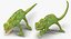 Rigged Lizards Collection 3 for Maya