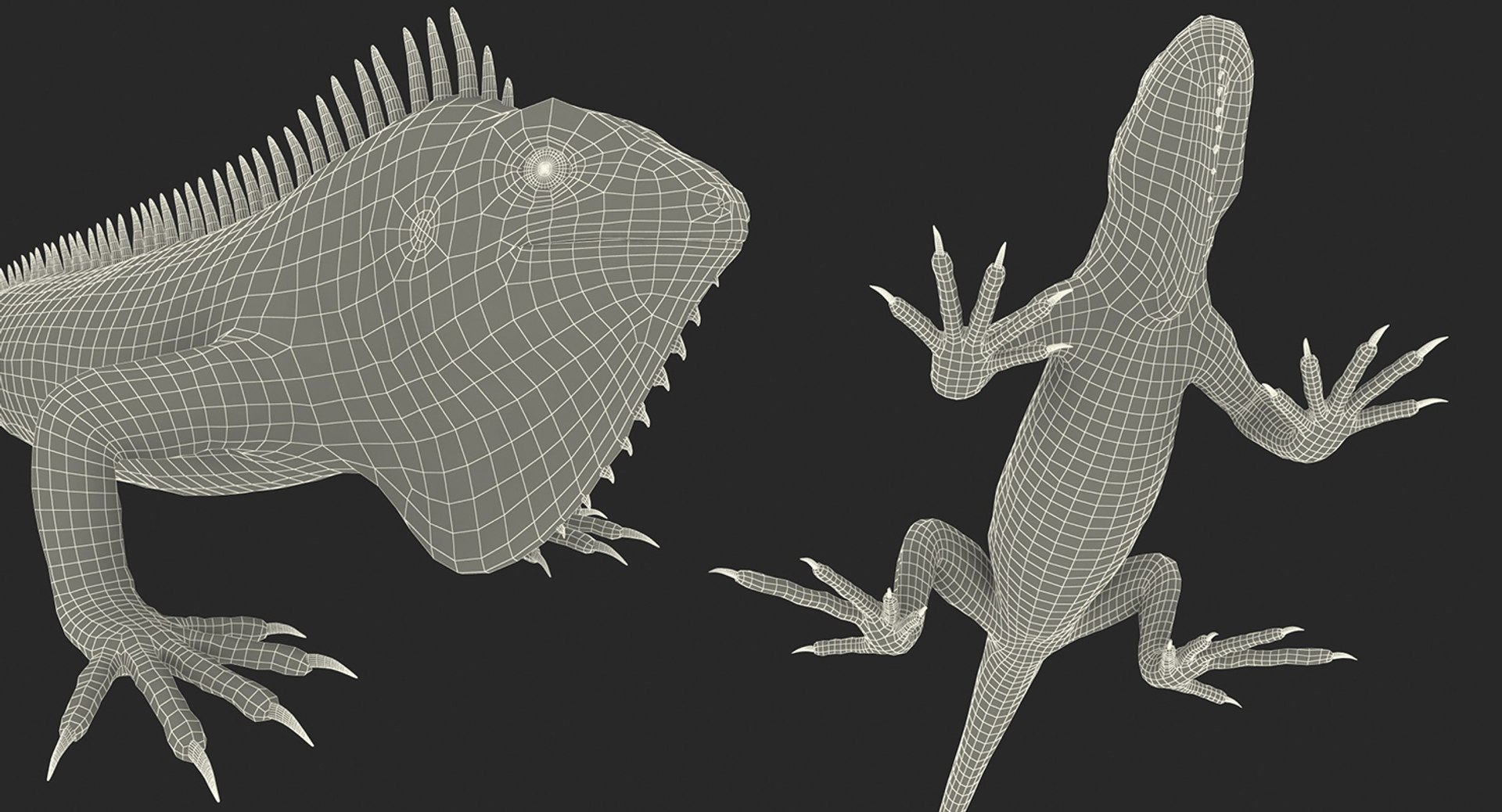 3D model Rigged Lizards Collection 3 for Maya https://p.turbosquid.com/ts-thumb/ru/vzfJEL/tE/rigged_lizards_collection_3_040/jpg/1723278355/1920x1080/fit_q87/368ddd866fc0c0d06dc5a7b48398e64bfdc74530/rigged_lizards_collection_3_040.jpg