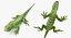 Rigged Lizards Collection 3 for Maya