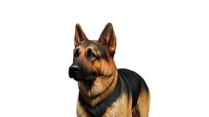 German Shepherd 3D model