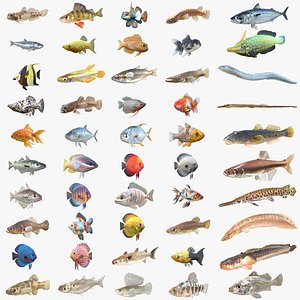 50 Fish Sea Creatures Collection v8