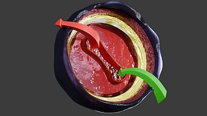 3D Respiratory Lung Gas Exchange Schematic