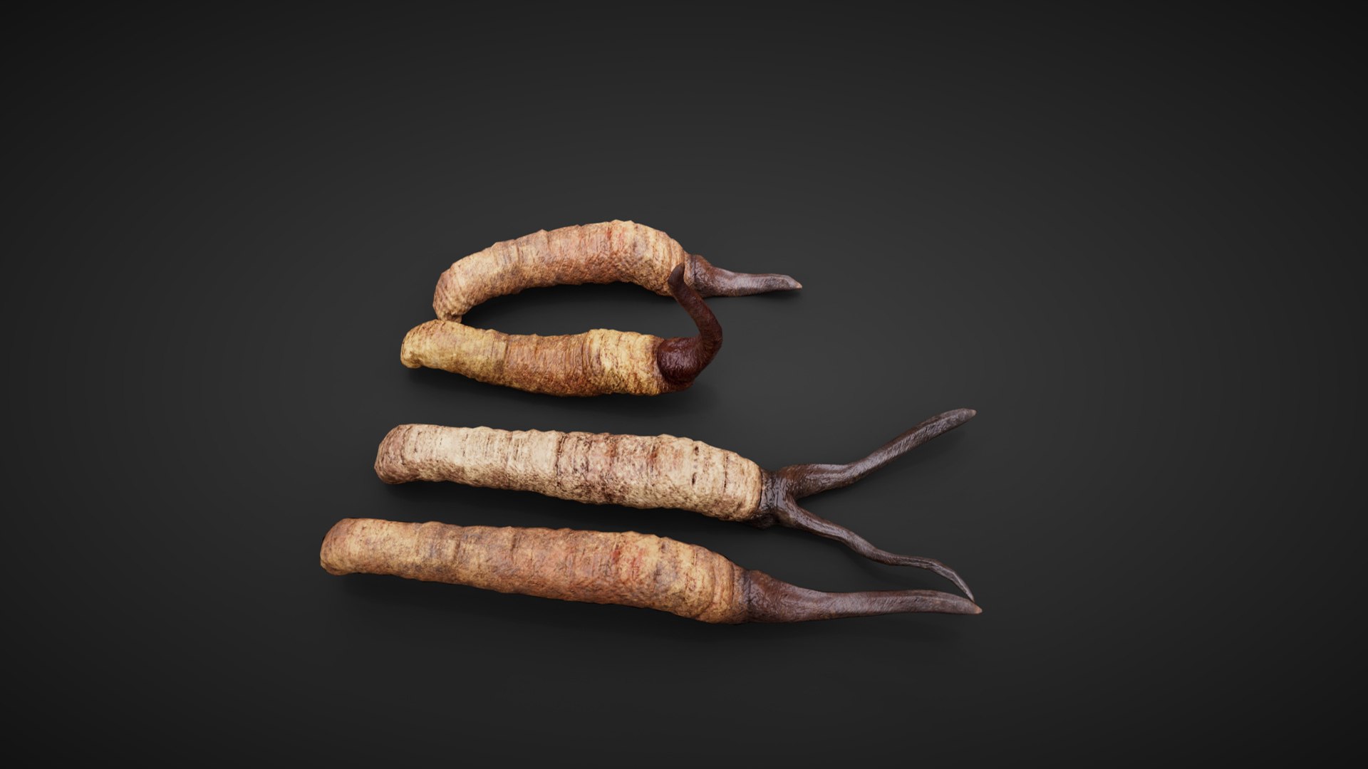 Insect 3D Model - TurboSquid 2180980