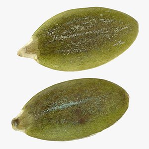 Peeled Pumpkin Seed Collection