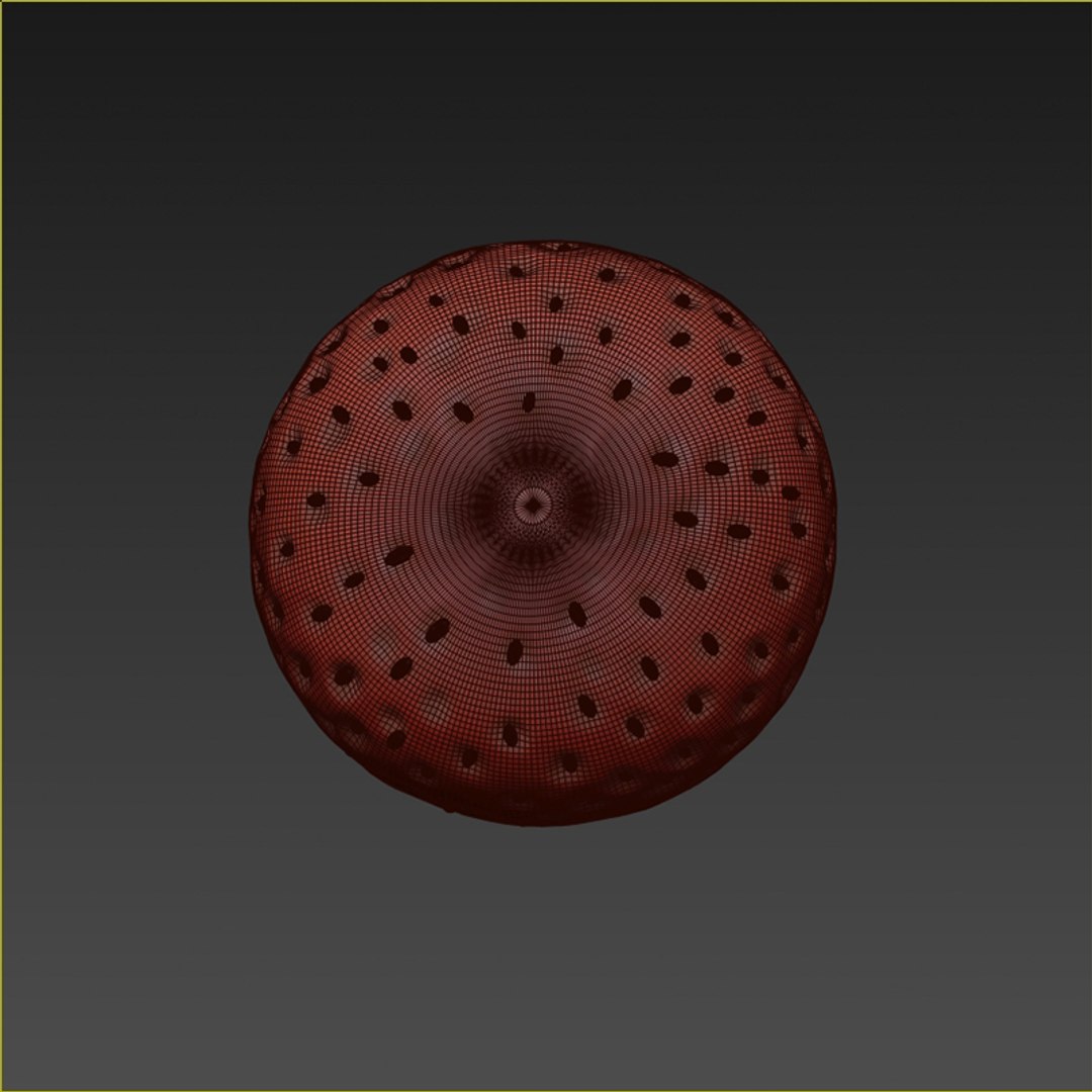 Strawberry Berry 3d Model
