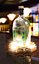 illuminated base for bottle