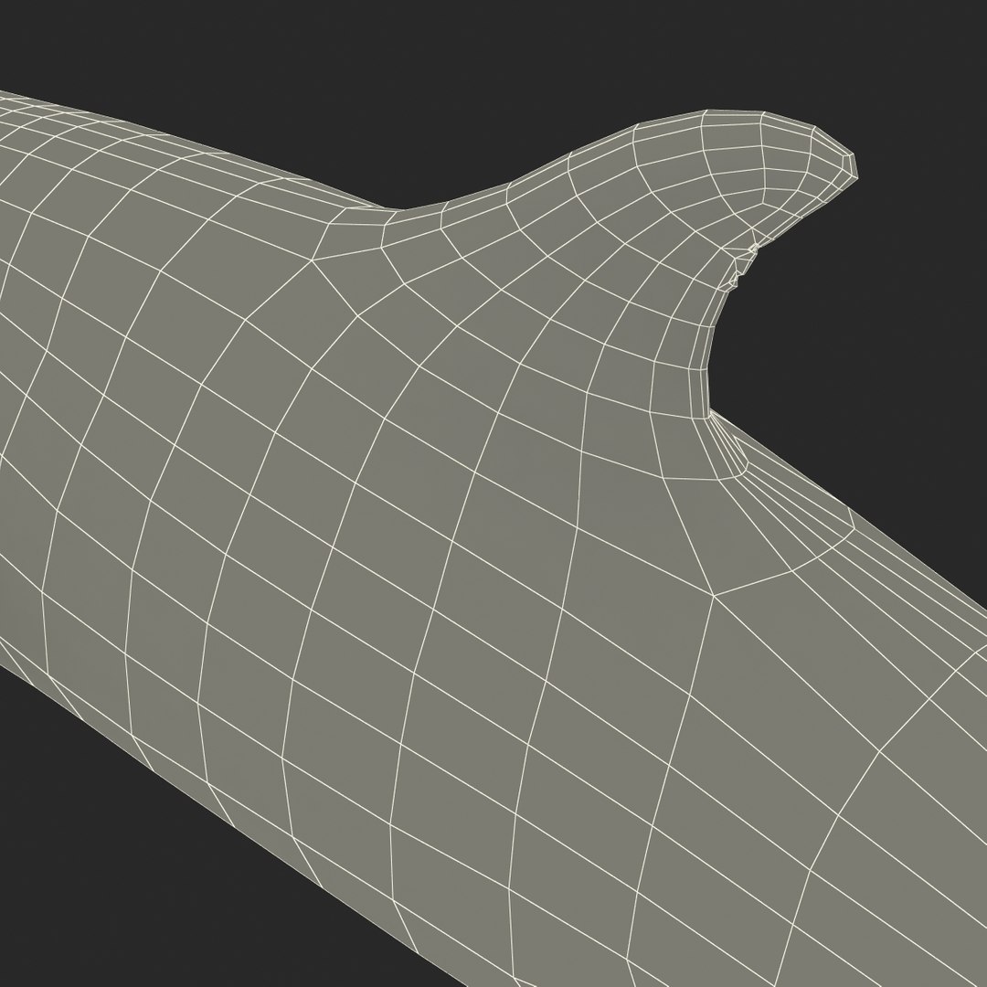 Max Dolphin Rigged
