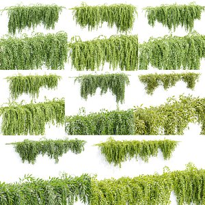 Hanging wall creeper plants collection vol 7-3D Model