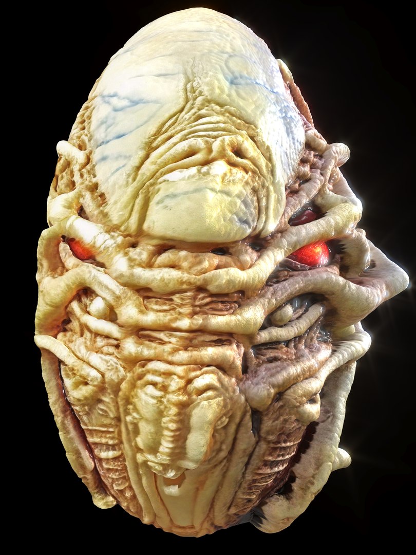 Alien Eggs Life Form Pack 3D https://p.turbosquid.com/ts-thumb/rw/Mng9o8/4s/7_3/jpg/1704278523/1920x1080/fit_q87/4cc171dedcc3fe0841e1a9ba11c788c36184a83a/7_3.jpg