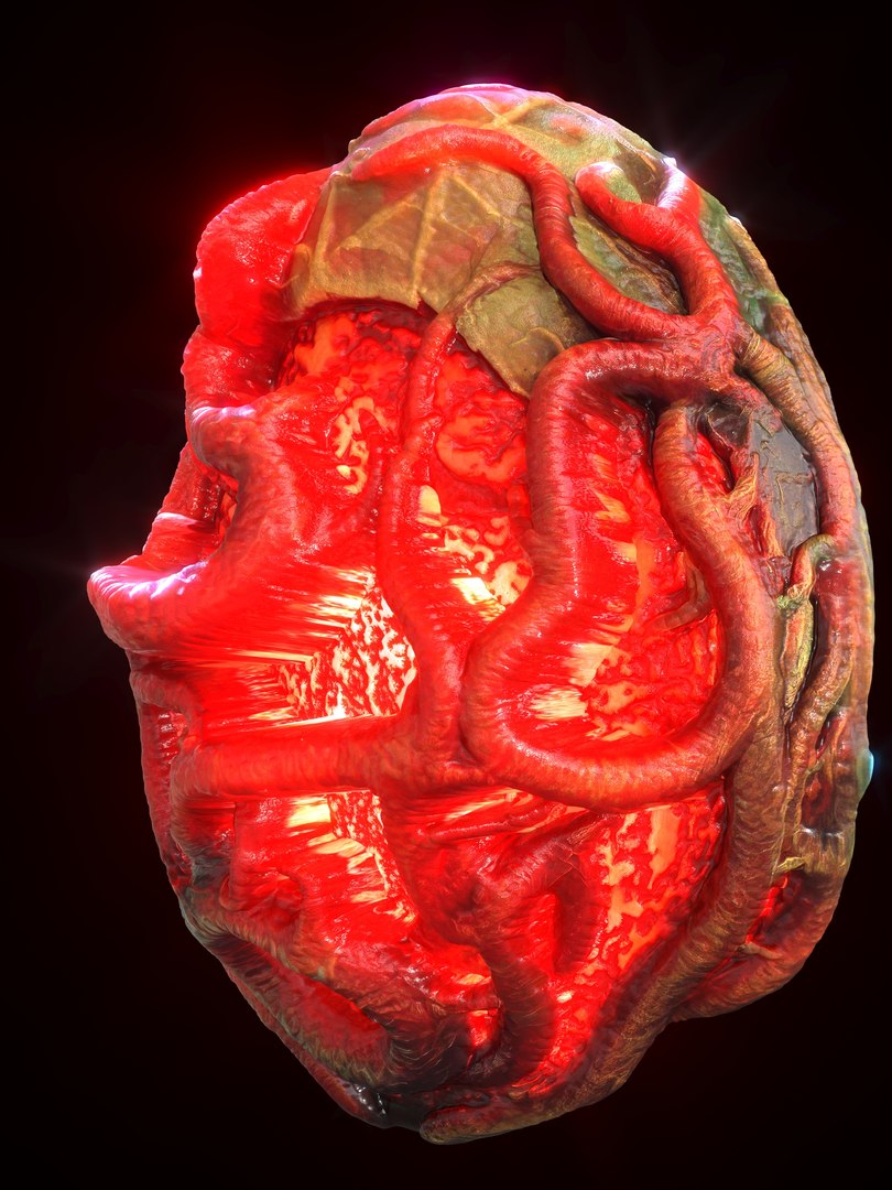 Alien Eggs Life Form Pack 3D https://p.turbosquid.com/ts-thumb/rw/Mng9o8/8W/3_2/jpg/1704278470/1920x1080/fit_q87/17a766de82cb3361f888b8c6f4053b50450cb99a/3_2.jpg