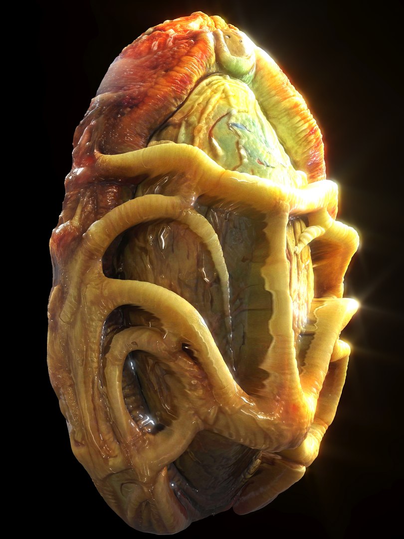 Alien Eggs Life Form Pack 3D https://p.turbosquid.com/ts-thumb/rw/Mng9o8/EW/9_3/jpg/1704278552/1920x1080/fit_q87/3e32c2363c64dd7c47cf00ee0f9bd4901306ec79/9_3.jpg