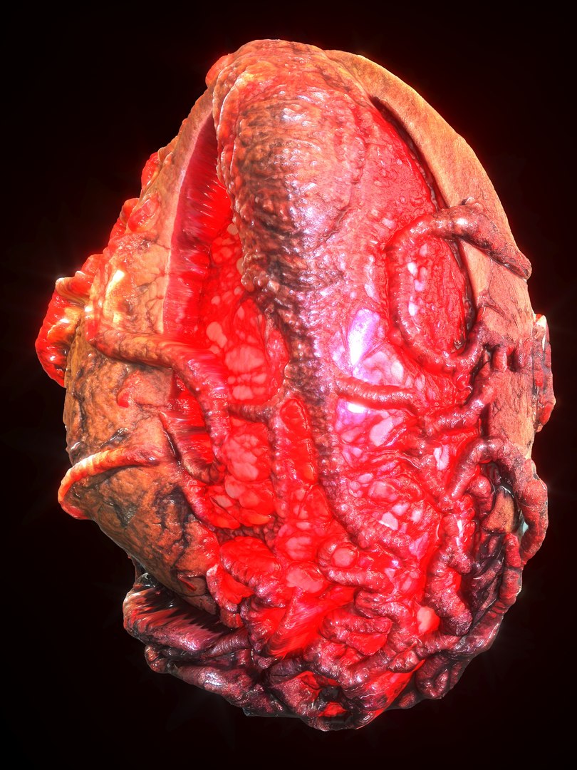 Alien Eggs Life Form Pack 3D https://p.turbosquid.com/ts-thumb/rw/Mng9o8/Kv/1_2/jpg/1704278432/1920x1080/fit_q87/1960436458dcda436250a51ccb4f976e1f8f96a5/1_2.jpg