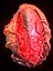 Alien Eggs Life Form Pack