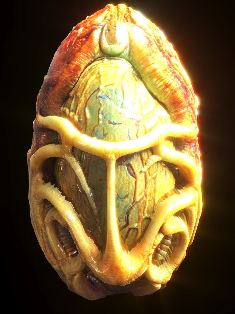 Alien Eggs Life Form Pack 3D https://p.turbosquid.com/ts-thumb/rw/Mng9o8/Mv/9_1/jpg/1704278542/1920x1080/fit_q87/5562bc4623a86f872b2aebd2a6d38571fd451f3f/9_1.jpg