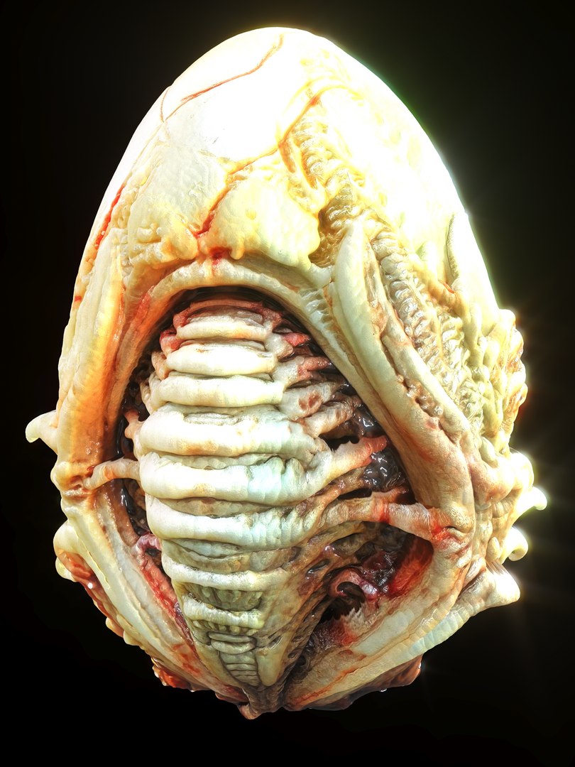 Alien Eggs Life Form Pack 3D https://p.turbosquid.com/ts-thumb/rw/Mng9o8/Sj/6_1/jpg/1704278506/1920x1080/fit_q87/54c415d2b822ed59b53054ed9751d0916d407e7a/6_1.jpg