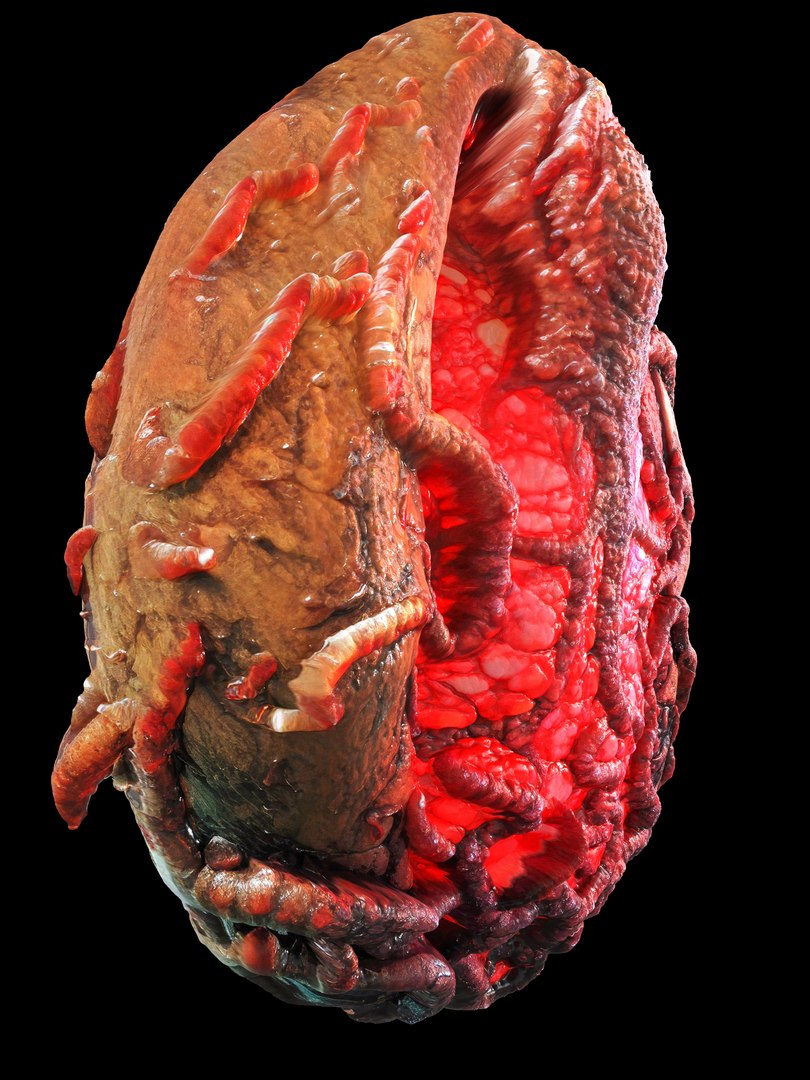 Alien Eggs Life Form Pack 3D https://p.turbosquid.com/ts-thumb/rw/Mng9o8/V6/1_3/jpg/1704278437/1920x1080/fit_q87/452f58b5691c1f1ad944bb85062c048f2c37961c/1_3.jpg