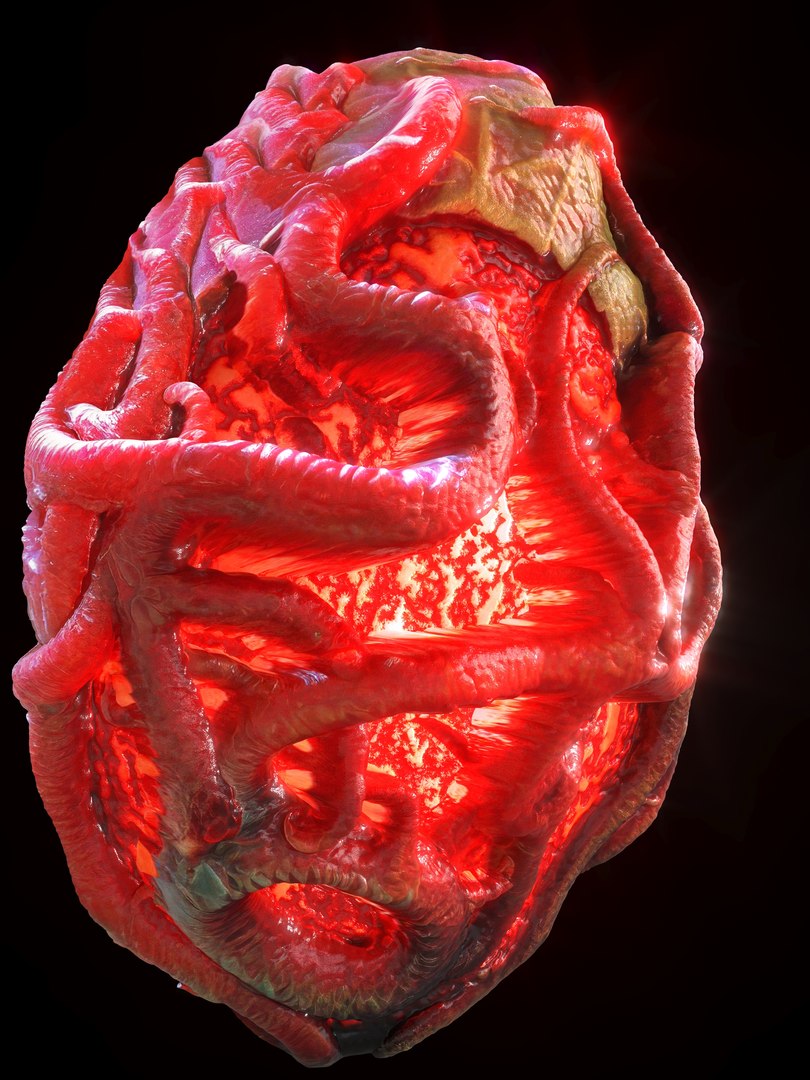 Alien Eggs Life Form Pack 3D https://p.turbosquid.com/ts-thumb/rw/Mng9o8/Wi/3_3/jpg/1704278475/1920x1080/fit_q87/c711d1f94dc2843c501860eb803fa5502357bb5b/3_3.jpg