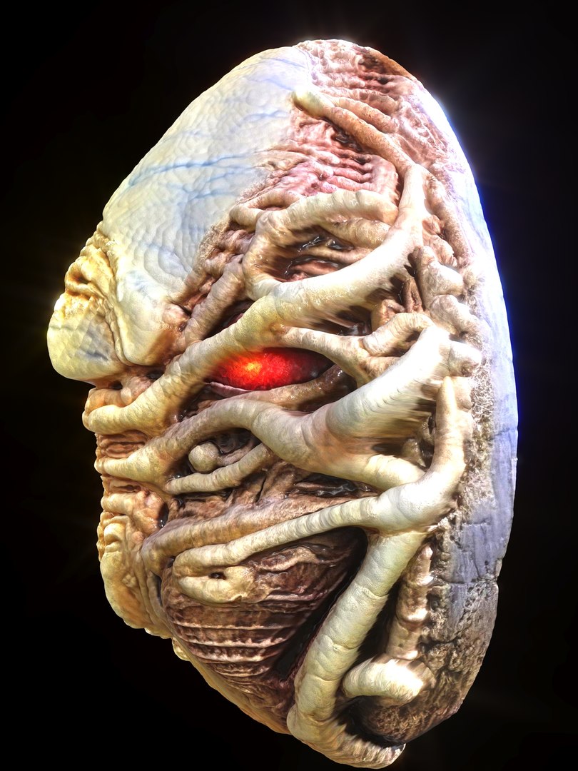 Alien Eggs Life Form Pack 3D https://p.turbosquid.com/ts-thumb/rw/Mng9o8/af/7_2/jpg/1704278517/1920x1080/fit_q87/85dbfe854c74115a86cb444ce00ee7ed86805592/7_2.jpg