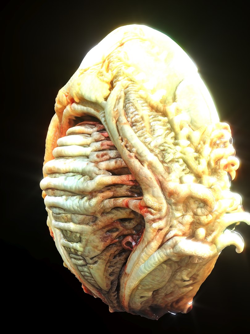 Alien Eggs Life Form Pack 3D https://p.turbosquid.com/ts-thumb/rw/Mng9o8/dQ/6_2/jpg/1704278510/1920x1080/fit_q87/dea9056015072629ca5a9c7f6f62a0687aaf3add/6_2.jpg