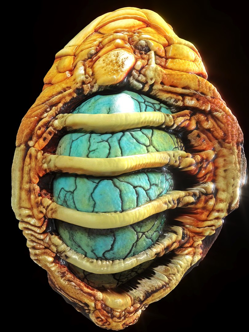 Alien Eggs Life Form Pack 3D https://p.turbosquid.com/ts-thumb/rw/Mng9o8/hV/8_3/jpg/1704278540/1920x1080/fit_q87/47cbe80f472e69c4972a86969d5ac6d8ee51edbc/8_3.jpg