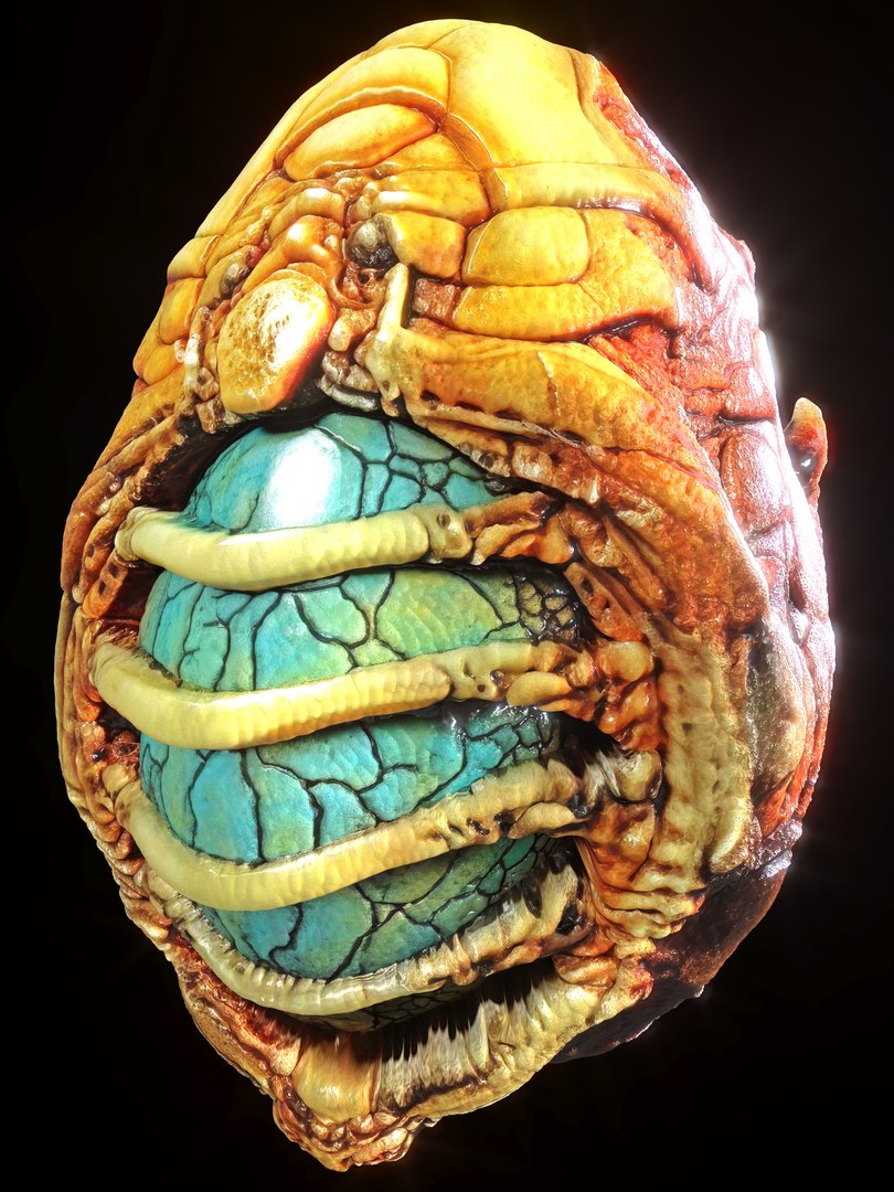 Alien Eggs Life Form Pack 3D https://p.turbosquid.com/ts-thumb/rw/Mng9o8/ju/8_1/jpg/1704278529/1920x1080/fit_q87/2c7b712bfe7769985d97f7663880cd00c1c3aebd/8_1.jpg