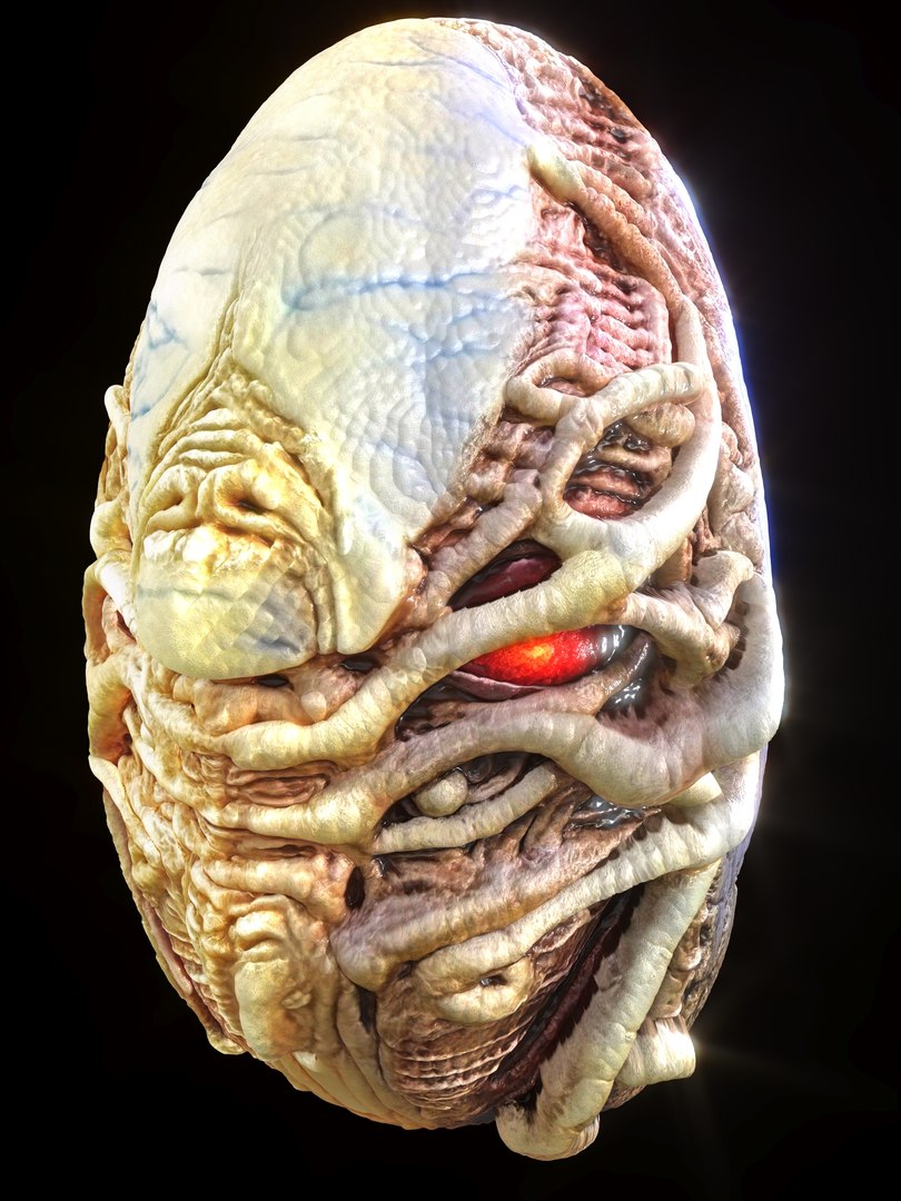 Alien Eggs Life Form Pack 3D https://p.turbosquid.com/ts-thumb/rw/Mng9o8/nC/7_1/jpg/1704278519/1920x1080/fit_q87/82743ff4e394b16fc523649263c187db569d6138/7_1.jpg