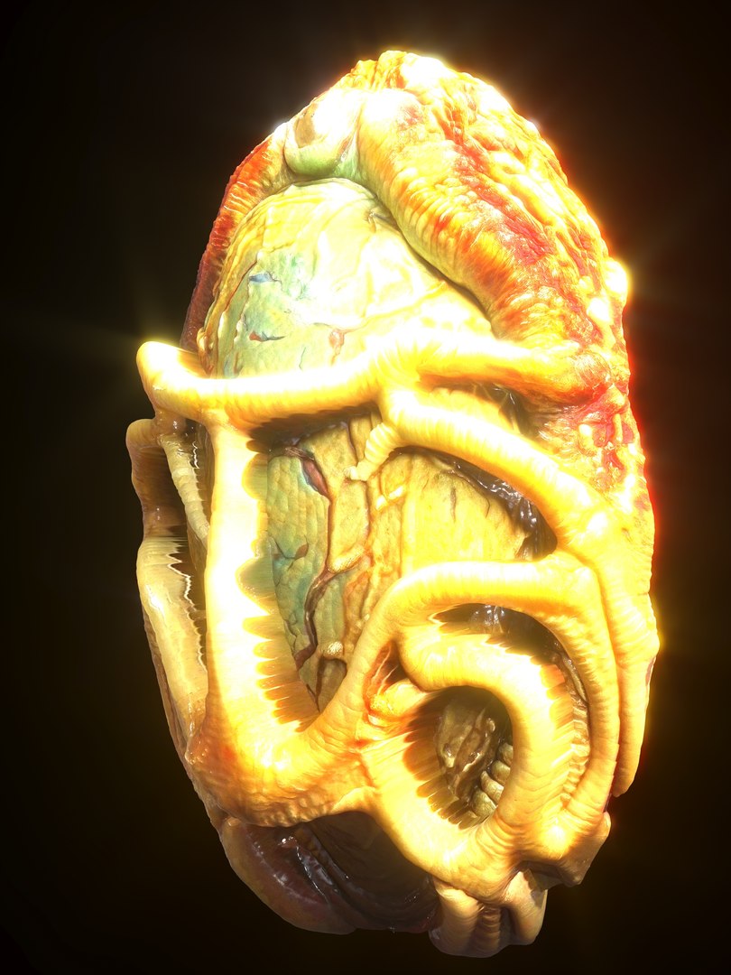 Alien Eggs Life Form Pack 3D https://p.turbosquid.com/ts-thumb/rw/Mng9o8/nd/9_2/jpg/1704278551/1920x1080/fit_q87/616ba6795e77f25598b67308efad25595b030ae3/9_2.jpg