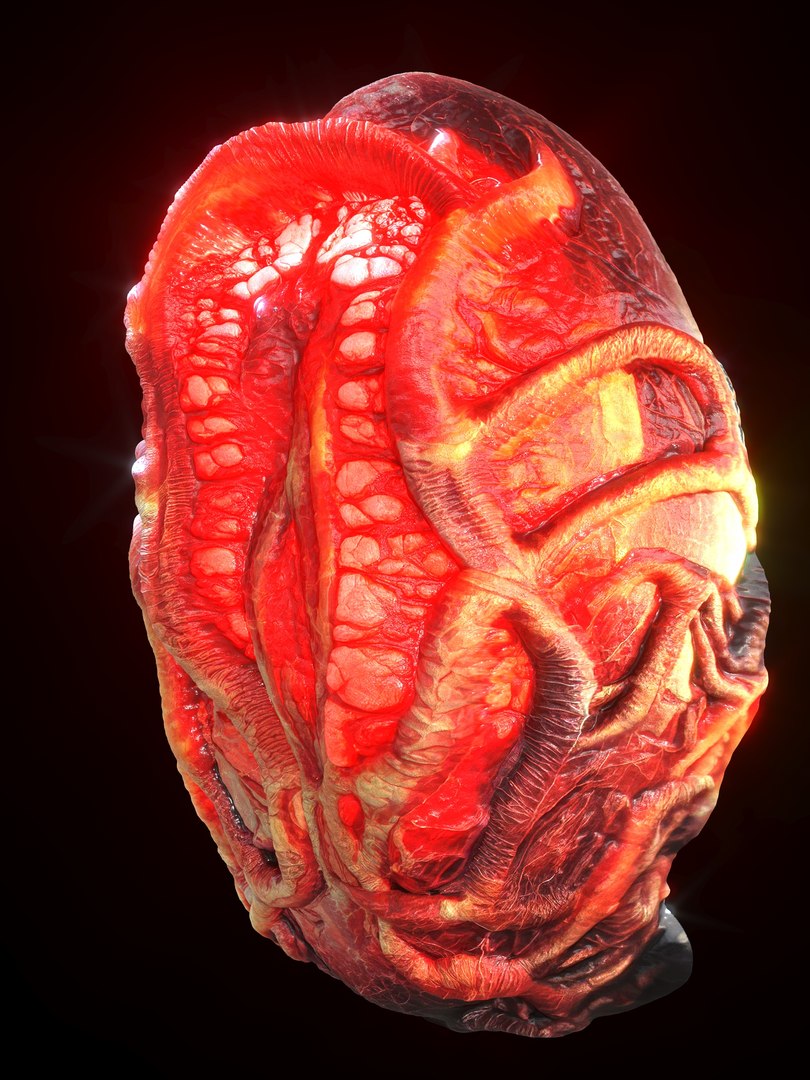 Alien Eggs Life Form Pack 3D https://p.turbosquid.com/ts-thumb/rw/Mng9o8/pV/2_2/jpg/1704278456/1920x1080/fit_q87/7fa35a6359ba24cbd1151de0909e62dacf4ab16c/2_2.jpg