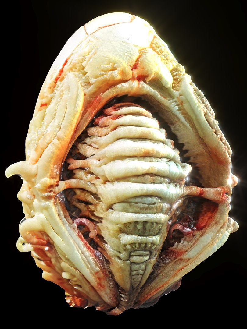 Alien Eggs Life Form Pack 3D https://p.turbosquid.com/ts-thumb/rw/Mng9o8/y3/6_3/jpg/1704278511/1920x1080/fit_q87/e3632ac62e1f93f3107c56e34ac113d0b8f534f9/6_3.jpg